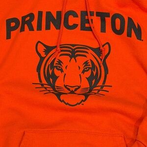 Champion Princeton Hoodie